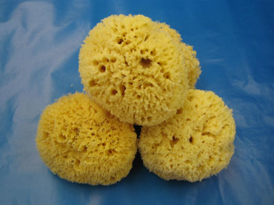 Bath Sponges